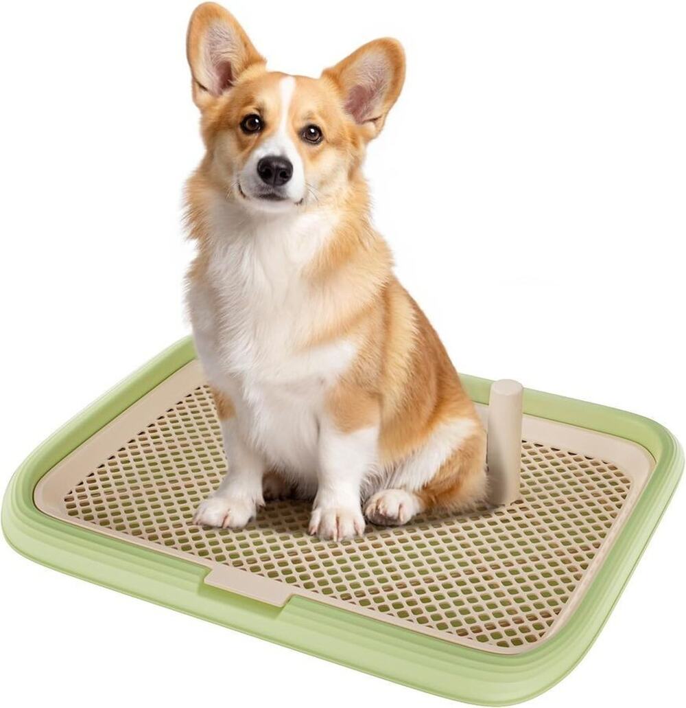 Dog Potty Tray Toilet 24"x18" Doggy Bathroom Puppy Litter Box Indoor Pee Pad